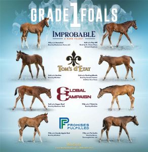 July 2022 - Saratoga Special