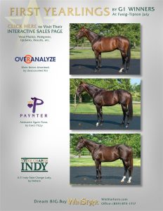 July 2016 - TDN