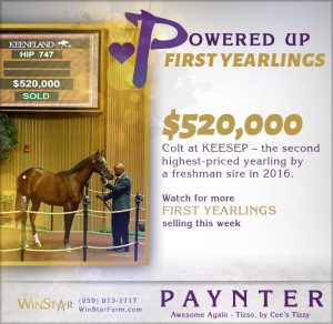 September 2016 - TDN