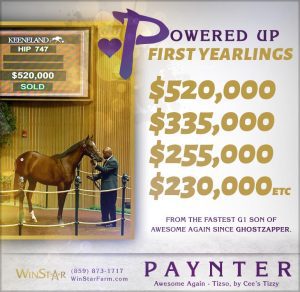 September 2017 - TDN