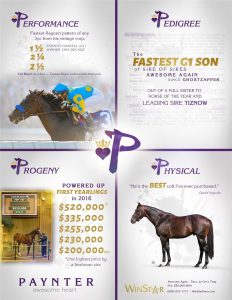December 2016 - TDN