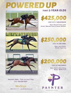 May 2017 - TDN