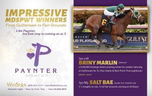 January 2018 - TDN