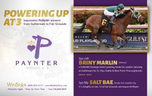 February 2018 - TDN
