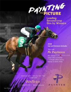 May 2018 - TDN