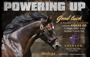 November 2018 - TDN and BHD