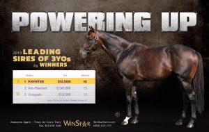 March 2019 - TDN and BHD