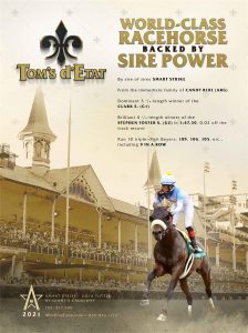 November 2020 - TDN and BHD