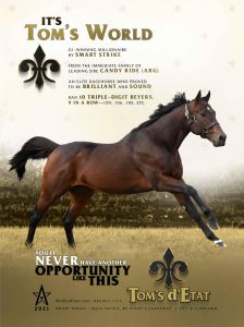 December 2020 - BloodHorse