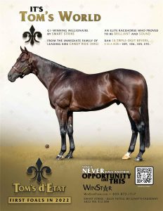 November 2021 - TDN